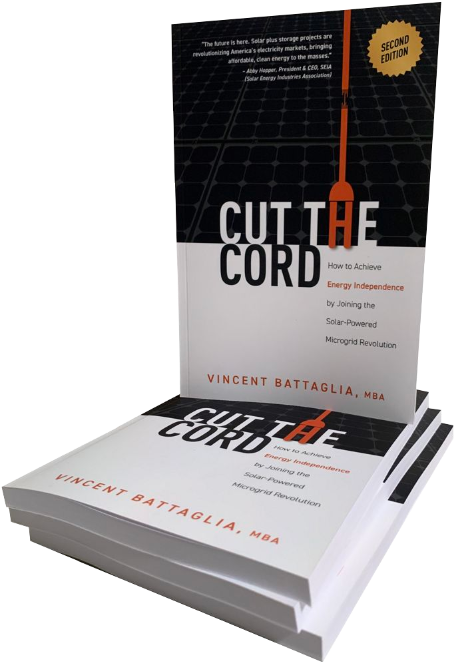 Cut The Cord, 2nd Edition book by Vincent Battaglia, MBA